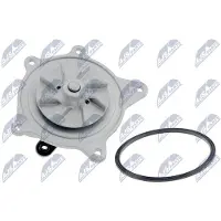 NTY CPW-CH-002 Waterpomp