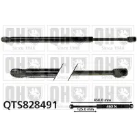 Quinton Hazell QTS828491 Gasveer achterklep
