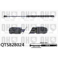 Quinton Hazell QTS828024 Gasveer achterklep