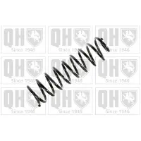 Quinton Hazell QCS6603 Chassisveer