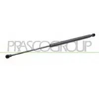PRASCO PG4209055 Gasveer achterklep