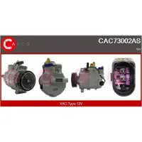 Casco CAC73002AS Aircopomp