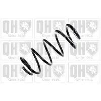 Quinton Hazell QCS5496 Chassisveer