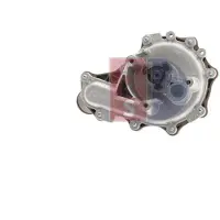 AKS DASIS 570185N Waterpomp