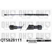 Quinton Hazell QTS828111 Gasveer achterklep