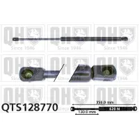 Quinton Hazell QTS128770 Gasveer achterklep
