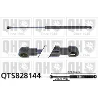 Quinton Hazell QTS828144 Gasveer achterklep