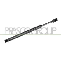 PRASCO AD0229065 Gasveer achterklep
