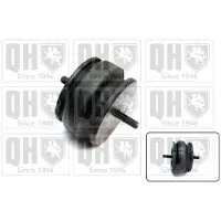 Quinton Hazell EM3172 Motorsteunlager
