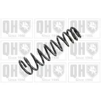 Quinton Hazell QCS5016 Chassisveer