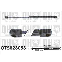 Quinton Hazell QTS828058 Gasveer achterklep