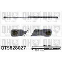 Quinton Hazell QTS828027 Gasveer achterklep