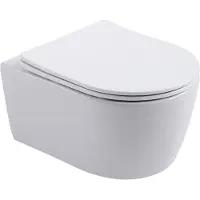SaniGoods Willow hangend toilet met softclose sluiting wit mat