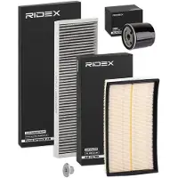 RIDEX 4055F21338 Filterset