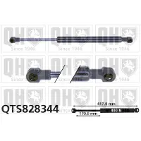 Quinton Hazell QTS828344 Gasveer achterklep
