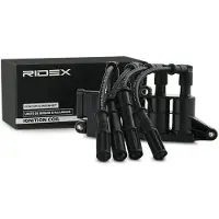 RIDEX 689C0290 Bobine