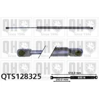 Quinton Hazell QTS128325 Gasveer achterklep
