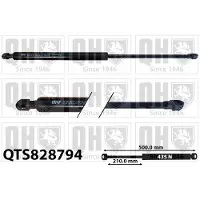 Quinton Hazell QTS828794 Gasveer achterklep
