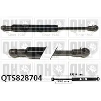 Quinton Hazell QTS828704 Gasveer motorkap