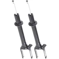 RIDEX 854S19306 Schokdemper