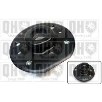 Quinton Hazell EMR4867 Veerpootlager
