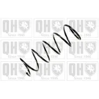 Quinton Hazell QCS8121 Chassisveer