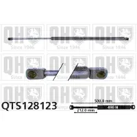 Quinton Hazell QTS128123 Gasveer achterklep