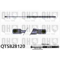 Quinton Hazell QTS828120 Gasveer achterklep
