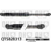 Quinton Hazell QTS828313 Gasveer motorkap