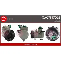 Casco CAC78170GS Aircopomp