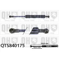 Quinton Hazell QTS840175 Gasveer achterklep