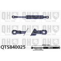 Quinton Hazell QTS840025 Gasveer motorkap
