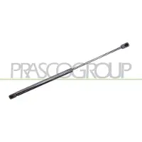 PRASCO CI3249055 Gasveer achterklep