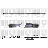 Quinton Hazell QTS828234 Gasveer achterklep