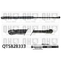 Quinton Hazell QTS828333 Gasveer achterklep
