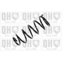 Quinton Hazell QCS8252 Chassisveer