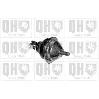 Quinton Hazell QSJ844S Fuseekogel