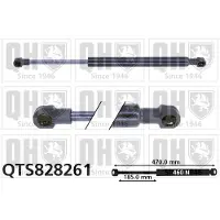 Quinton Hazell QTS828261 Gasveer achterklep