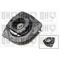 Quinton Hazell EMR4906 Veerpootlager
