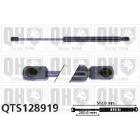 Quinton Hazell QTS128919 Gasveer achterklep