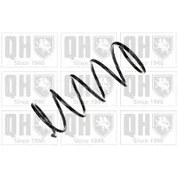 Quinton Hazell QCS5341 Chassisveer