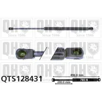 Quinton Hazell QTS128431 Gasveer achterklep