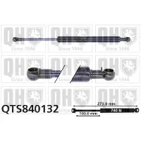 Quinton Hazell QTS840132 Gasveer achterklep