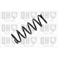 Quinton Hazell QCS8147 Chassisveer