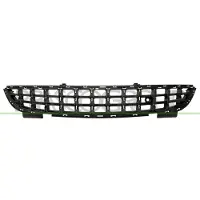 PRASCO OP0352120 Ventilatiegrille, bumper