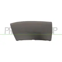 BLIC FT9301574 Sier- / beschermingspaneel, spatbord