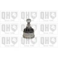 Quinton Hazell QSJ6000S Fuseekogel