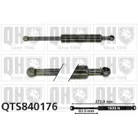 Quinton Hazell QTS840176 Gasveer achterklep