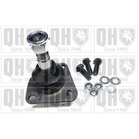 Quinton Hazell QSJ768S Fuseekogel