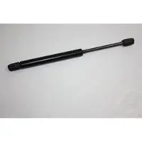 AUTOMEGA 100043210 Gasveer achterklep